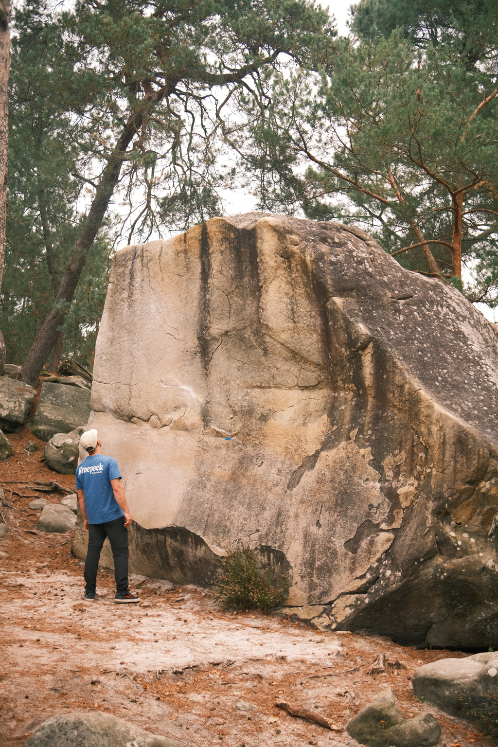 The Basic Tee - Blue