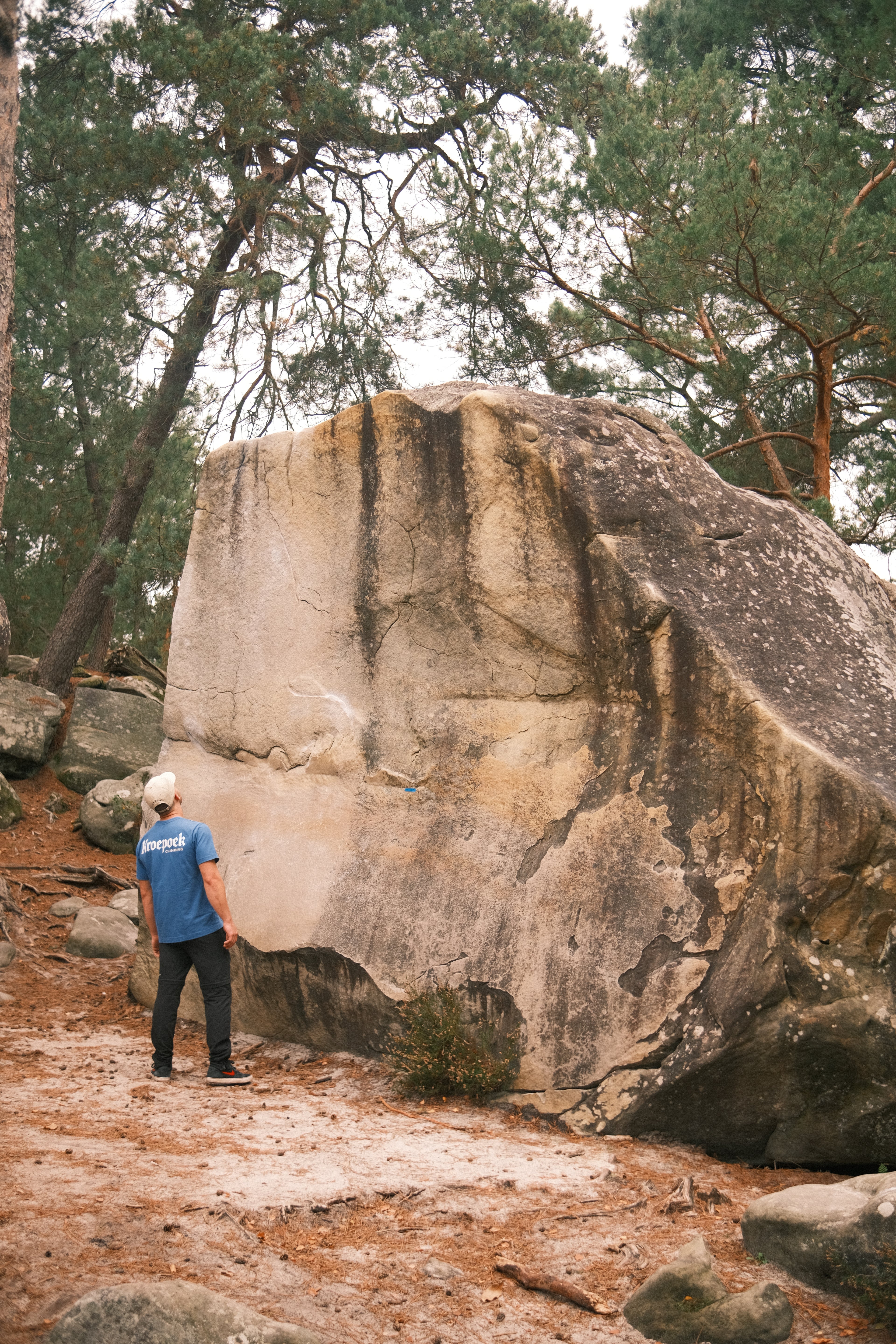 The Basic Tee - Blue